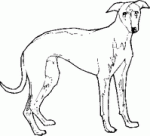 Dog Breed Decal 24a
