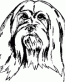 Dog Breed Decal 57a