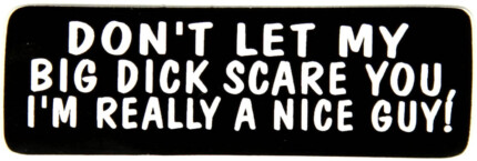 dont let my big dick scare you im really a nice guy bumper sticker