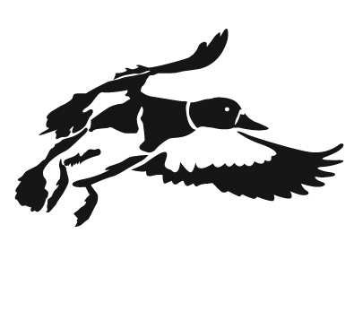 DUCK FLY HIGH DECAL 4