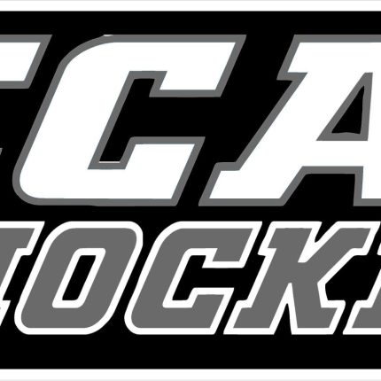 ECAC HOCKEY STICKER for guys