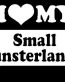 I Love My Small Munsterander