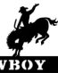 John 16 Decal
