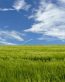 Landscape Vinyl Wall Graphic Decals 18