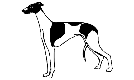 030 Greyhound Decal