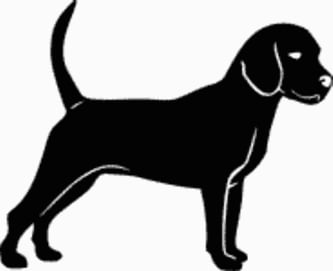 15C Beagle Dog Decal