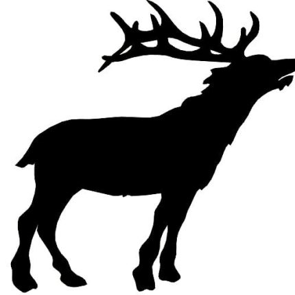 Stag Stickers - 6