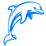Dolphin 2 decal