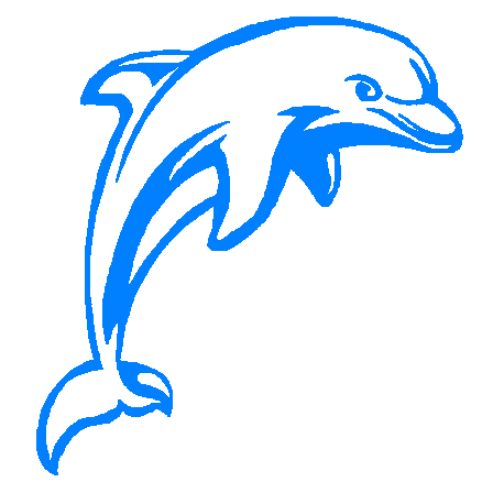 Dolphin 2 decal