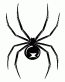 Blackwidow 2 decal
