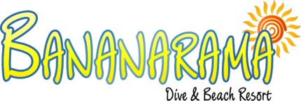 BANANARAMA BEACH RESORT CRUISE STICKER