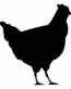 Bird Decals -20