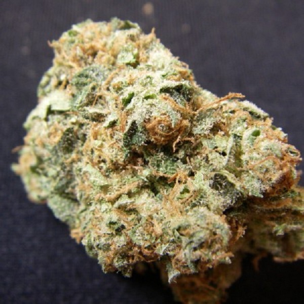 bud picture 14