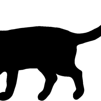 Cat Cats Animal Animals Vinyl Decal Sticker 03