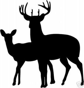 Deer Hunting Decal Sticker 4