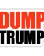 DUMP TRUMP STICKER 6