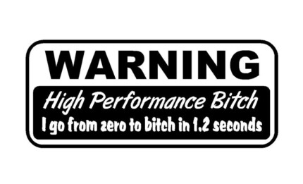 High Performance Bitch Vinyl Car Decal
