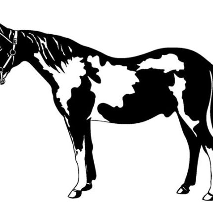 Horse Diecut Decal 46