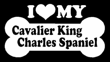I Love My Cavalier King Charles Spaniel
