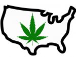 legalize weed USA Sticker