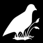 Quail Vinyl Hunting Decal