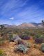 Sand and Deserts Vinyl Wall Graphics 04