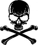 skull and bones decal 202