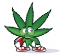 Weed Dude Decal