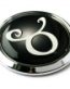 Zodiac Taurus 3D Adhesive Chrome Auto Emblem