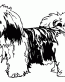 024 Lhaso Apso Decal