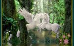 Fairies and Fantasy Wall Graphics 117