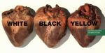 anti-racist 3 hearts sticker