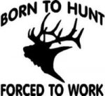 Born to Hunt 22 Decal