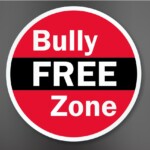 BULLY FREE ZONE STICKER anti hate sticker