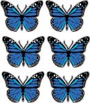 butterfly sticker BLUE - 6 PACK