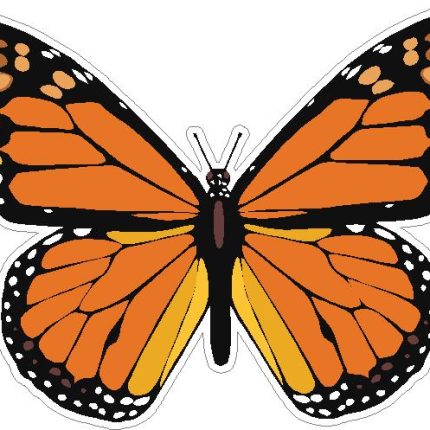 butterfly sticker MONARCH color