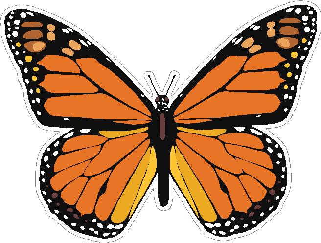 butterfly sticker MONARCH color