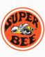 Dodge Super Bee Color