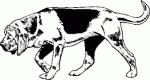 Dog Breed Decal 32a