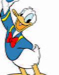 Donald 7