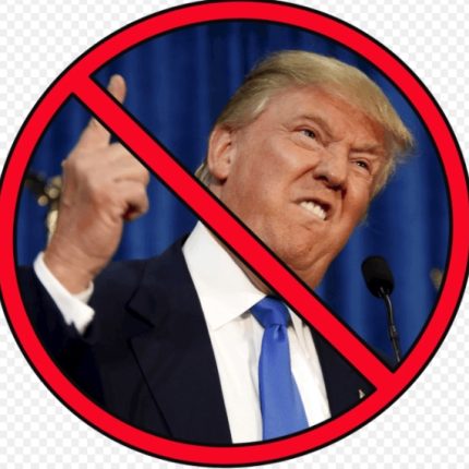 DUMP TRUMP ROUND POLITICAL STICKER