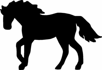 Horses Horse Animal Vinyl Car or WALL Decal Stickers 21