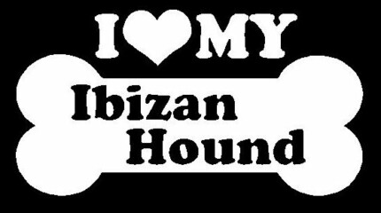 I Love My Ibizan Hound