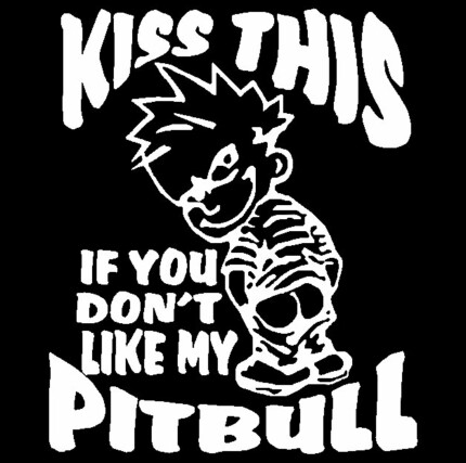 Pitbull Vinyl Car Decal 11