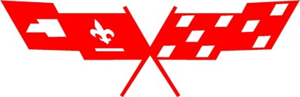 Race Flag Logo Die Cut Decal