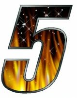 One Digit - FLAMES Race Number Kit