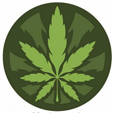 ROUND POT LEAF COLOR STICKER