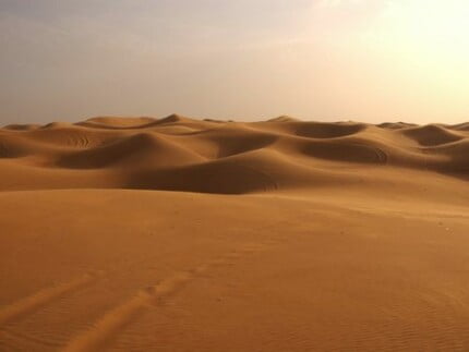 Sand and Deserts Vinyl Wall Graphics 21