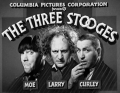 The Three Stooges Black and White Sticker