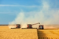 wheat-harvest-landscape-STICKER